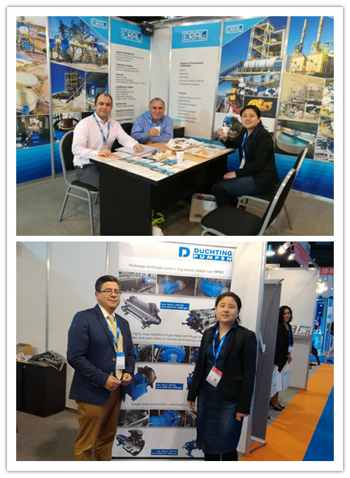 木园的展览现场